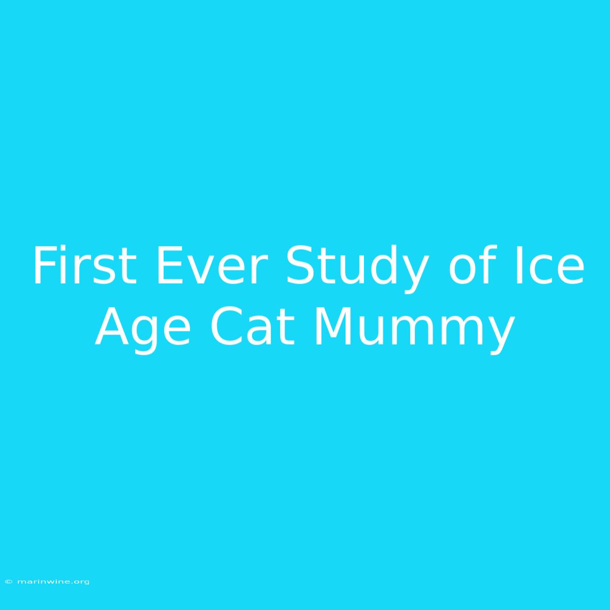 First Ever Study Of Ice Age Cat Mummy