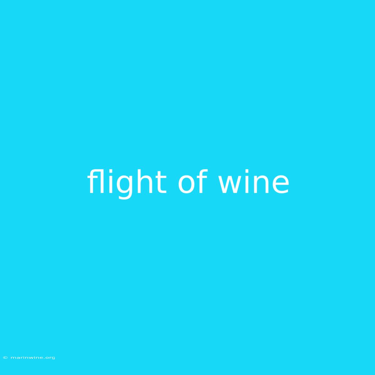 Flight Of Wine