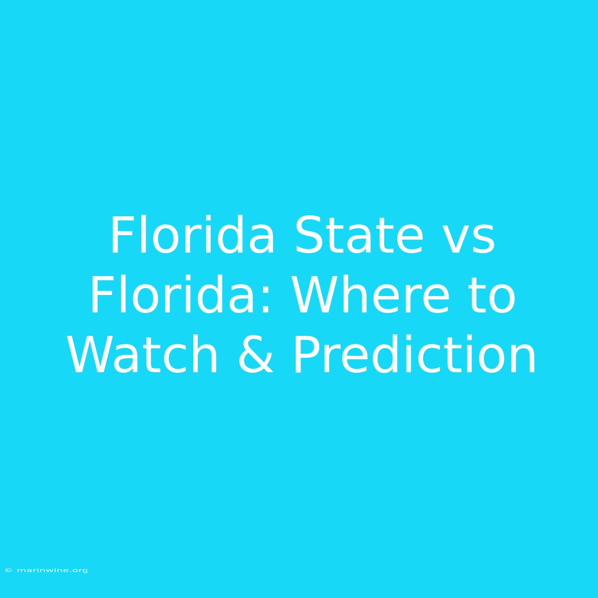 Florida State Vs Florida: Where To Watch & Prediction