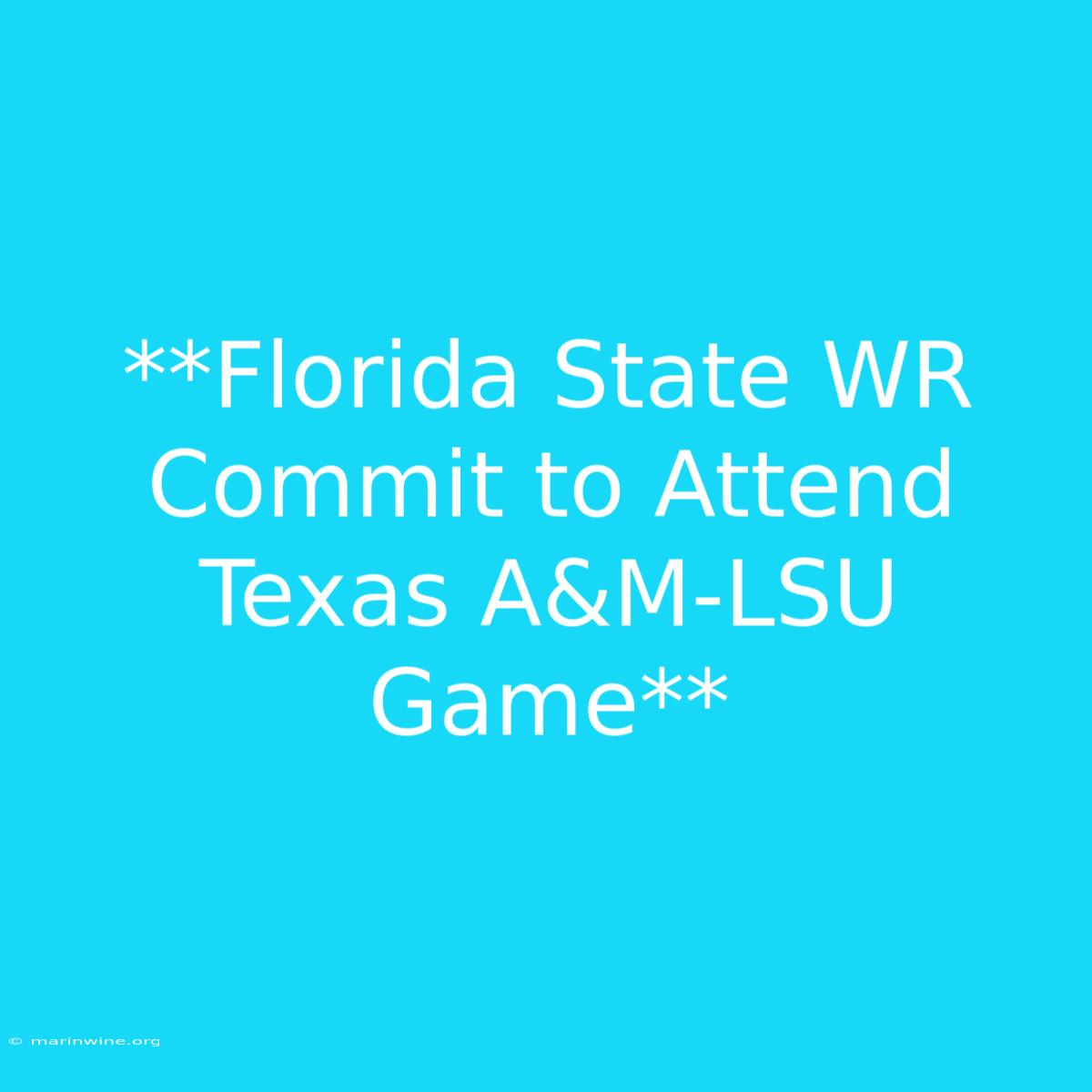 **Florida State WR Commit To Attend Texas A&M-LSU Game**