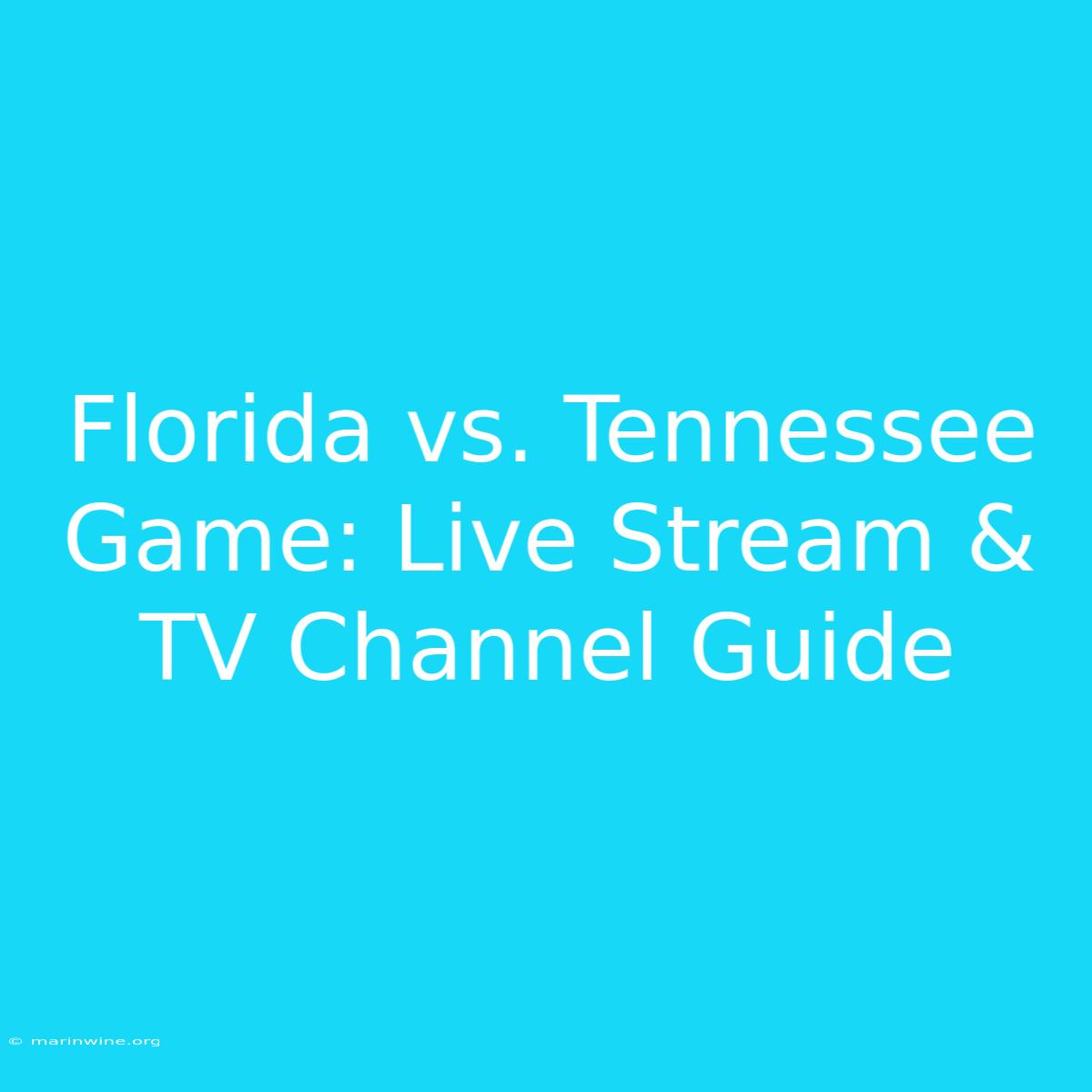 Florida Vs. Tennessee Game: Live Stream & TV Channel Guide 