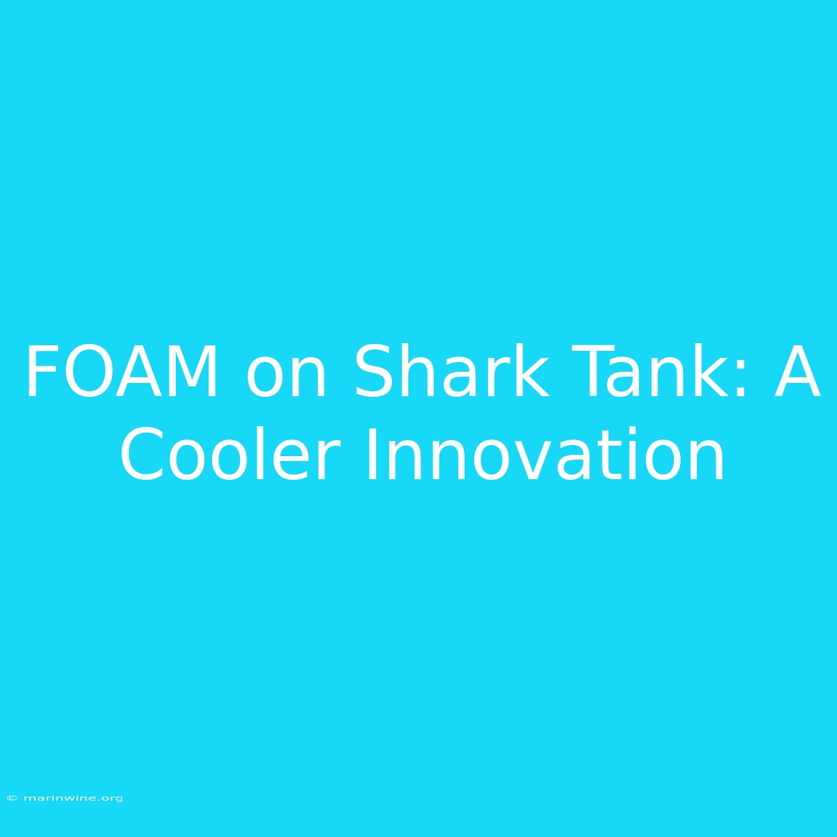 FOAM On Shark Tank: A Cooler Innovation