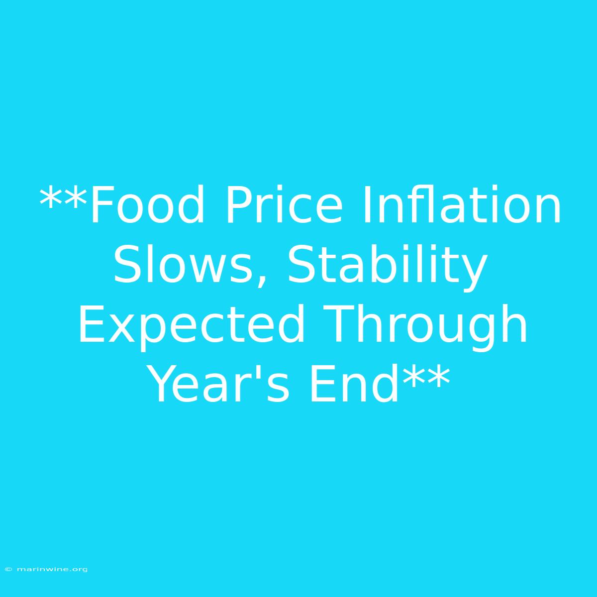 **Food Price Inflation Slows, Stability Expected Through Year's End** 