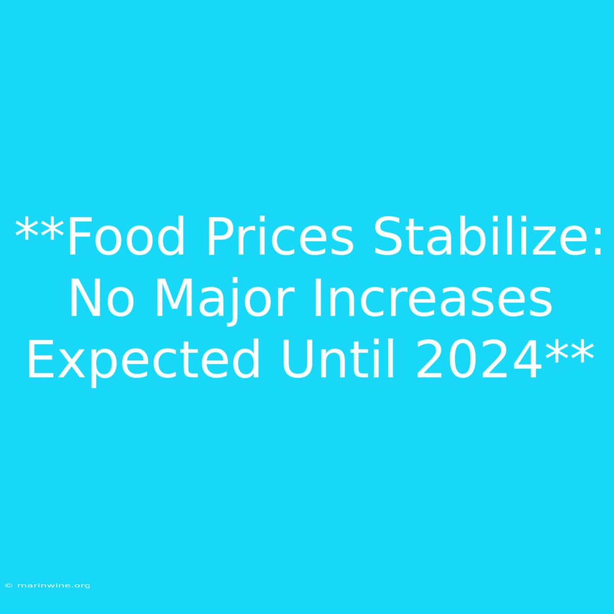 **Food Prices Stabilize: No Major Increases Expected Until 2024** 