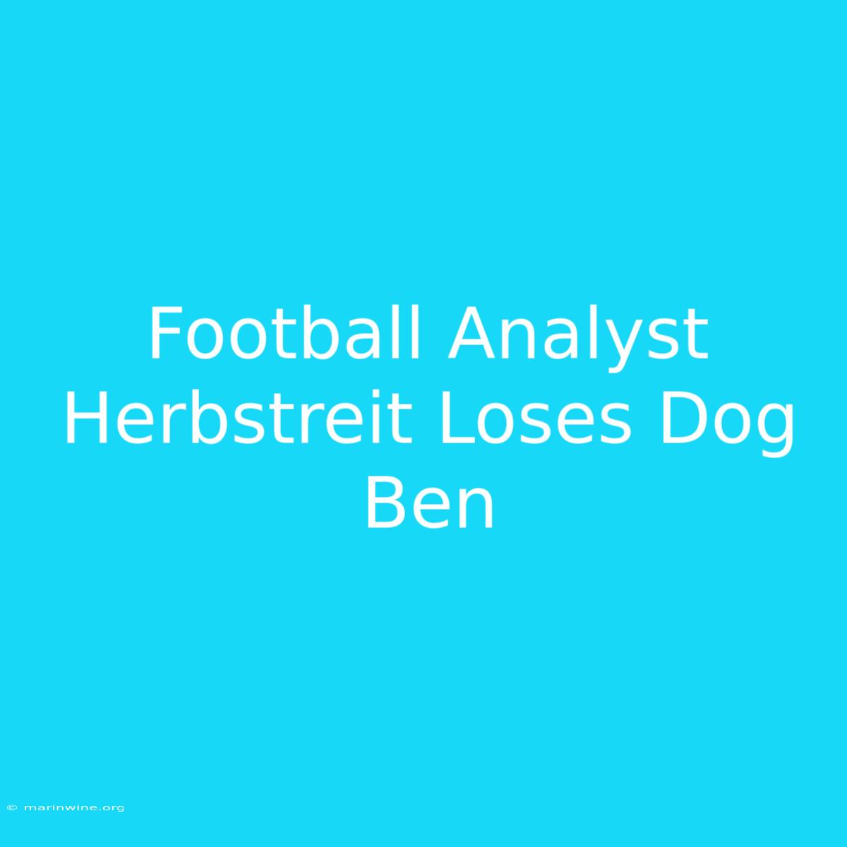 Football Analyst Herbstreit Loses Dog Ben 