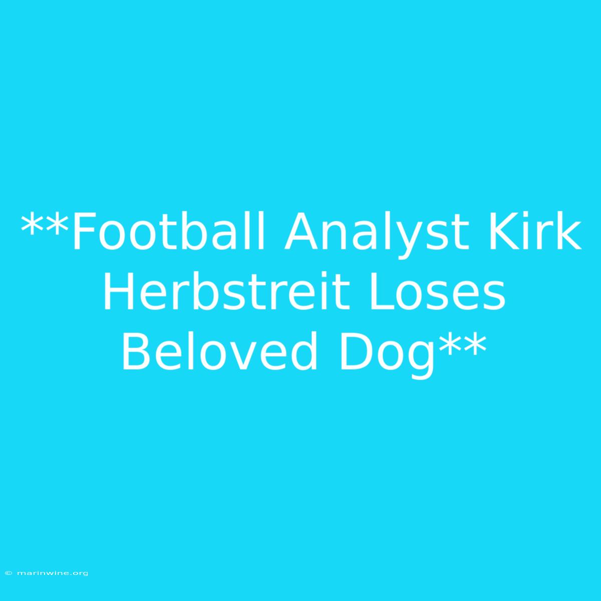 **Football Analyst Kirk Herbstreit Loses Beloved Dog** 