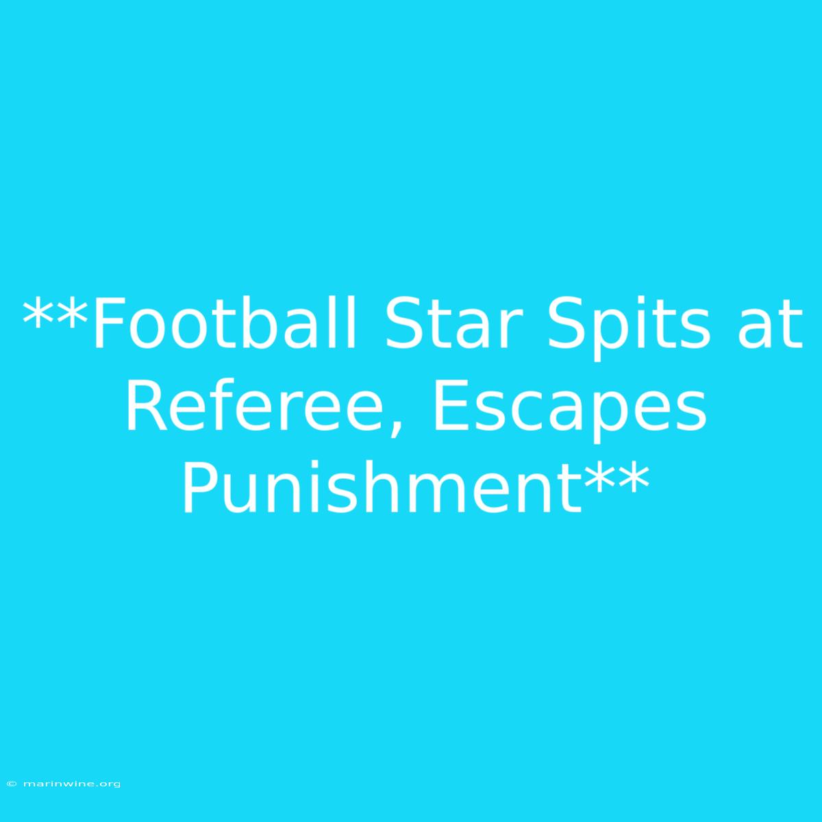 **Football Star Spits At Referee, Escapes Punishment**