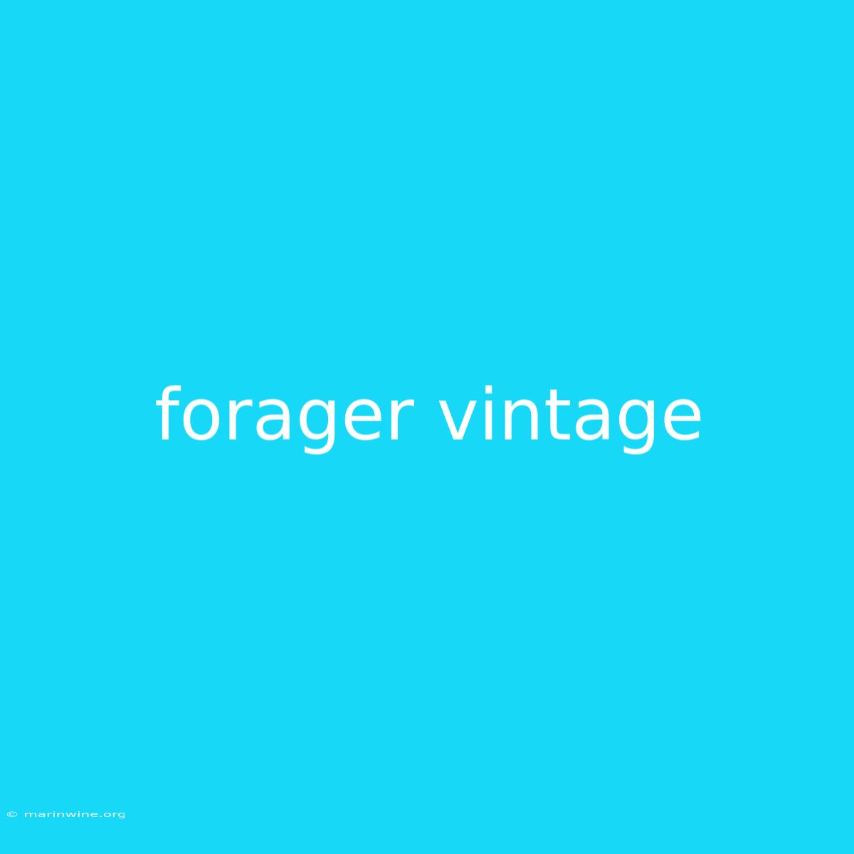 Forager Vintage