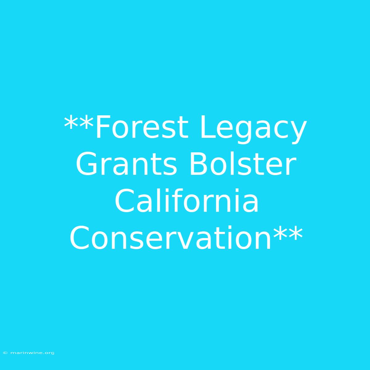 **Forest Legacy Grants Bolster California Conservation** 