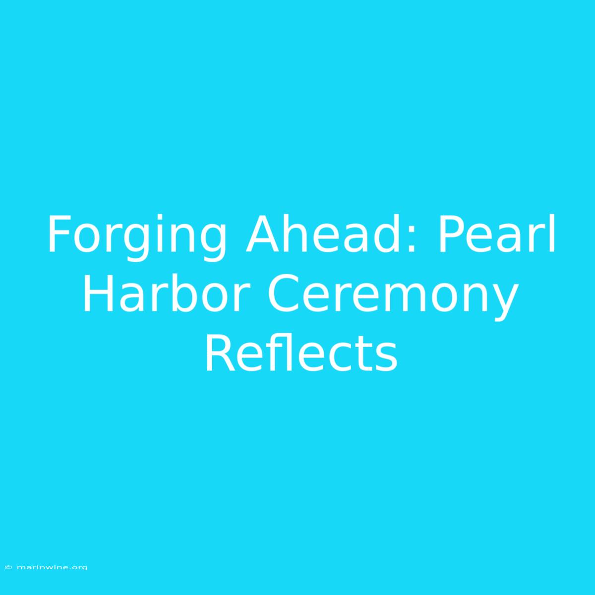 Forging Ahead: Pearl Harbor Ceremony Reflects