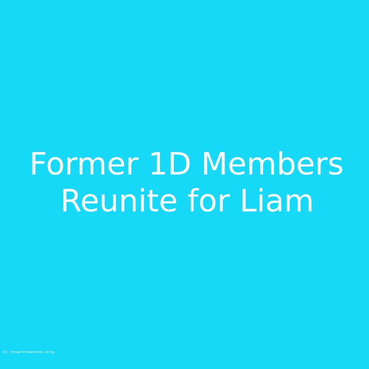 Former 1D Members Reunite For Liam