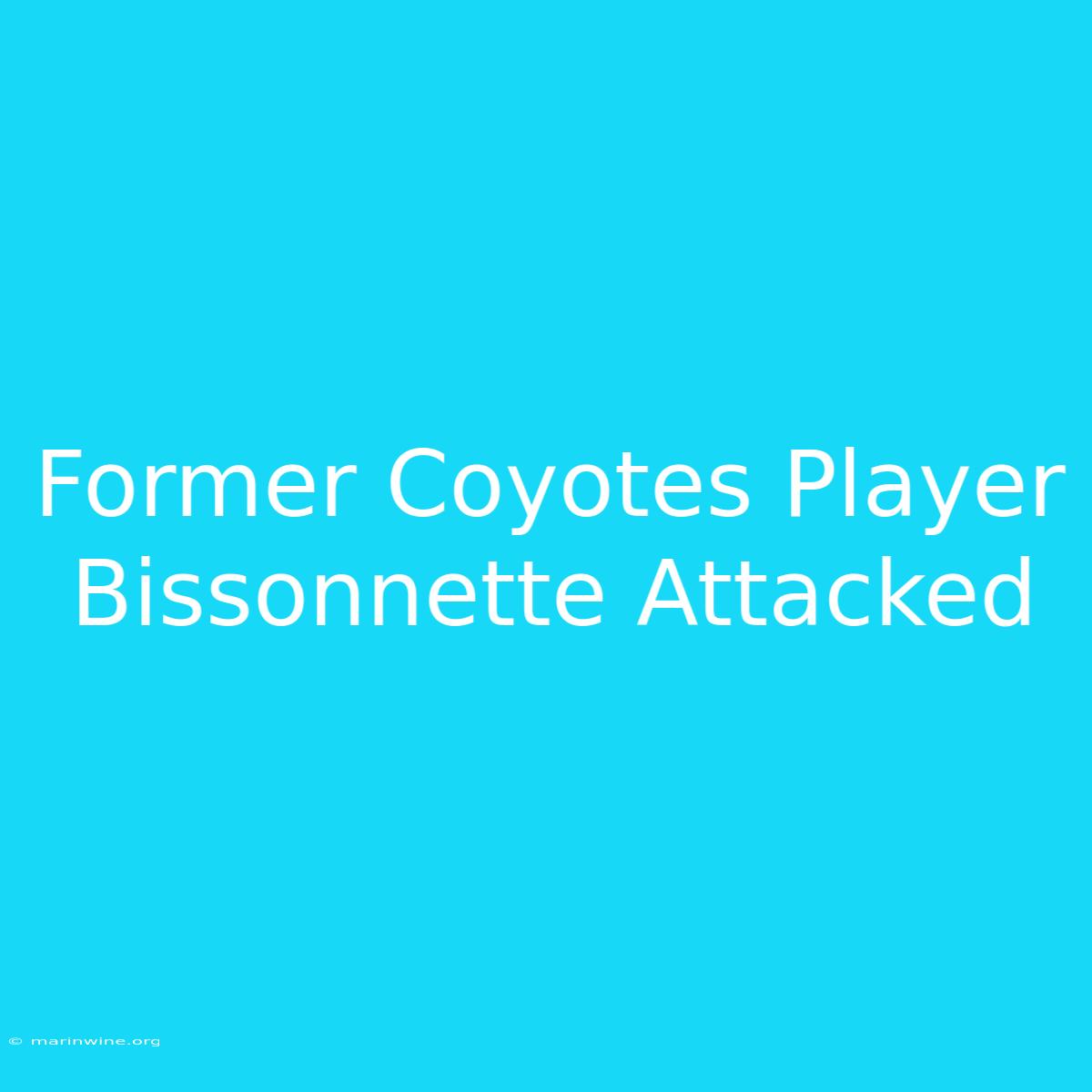 Former Coyotes Player Bissonnette Attacked