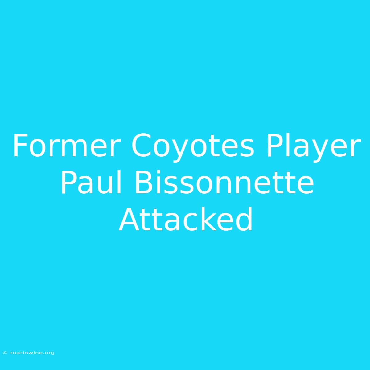 Former Coyotes Player Paul Bissonnette Attacked