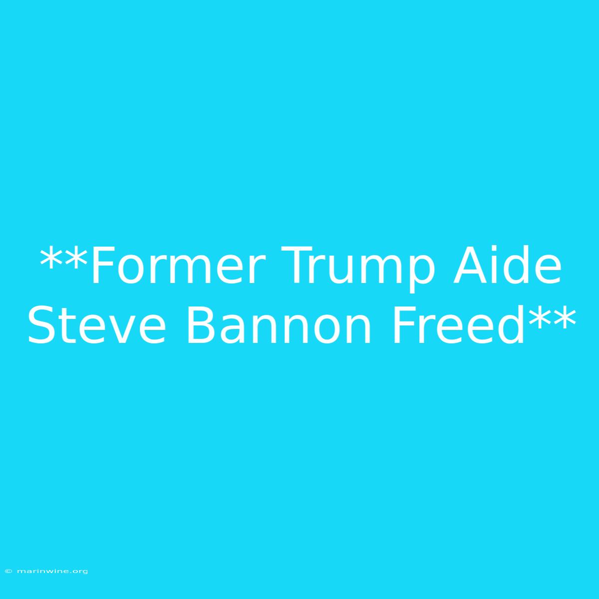 **Former Trump Aide Steve Bannon Freed**