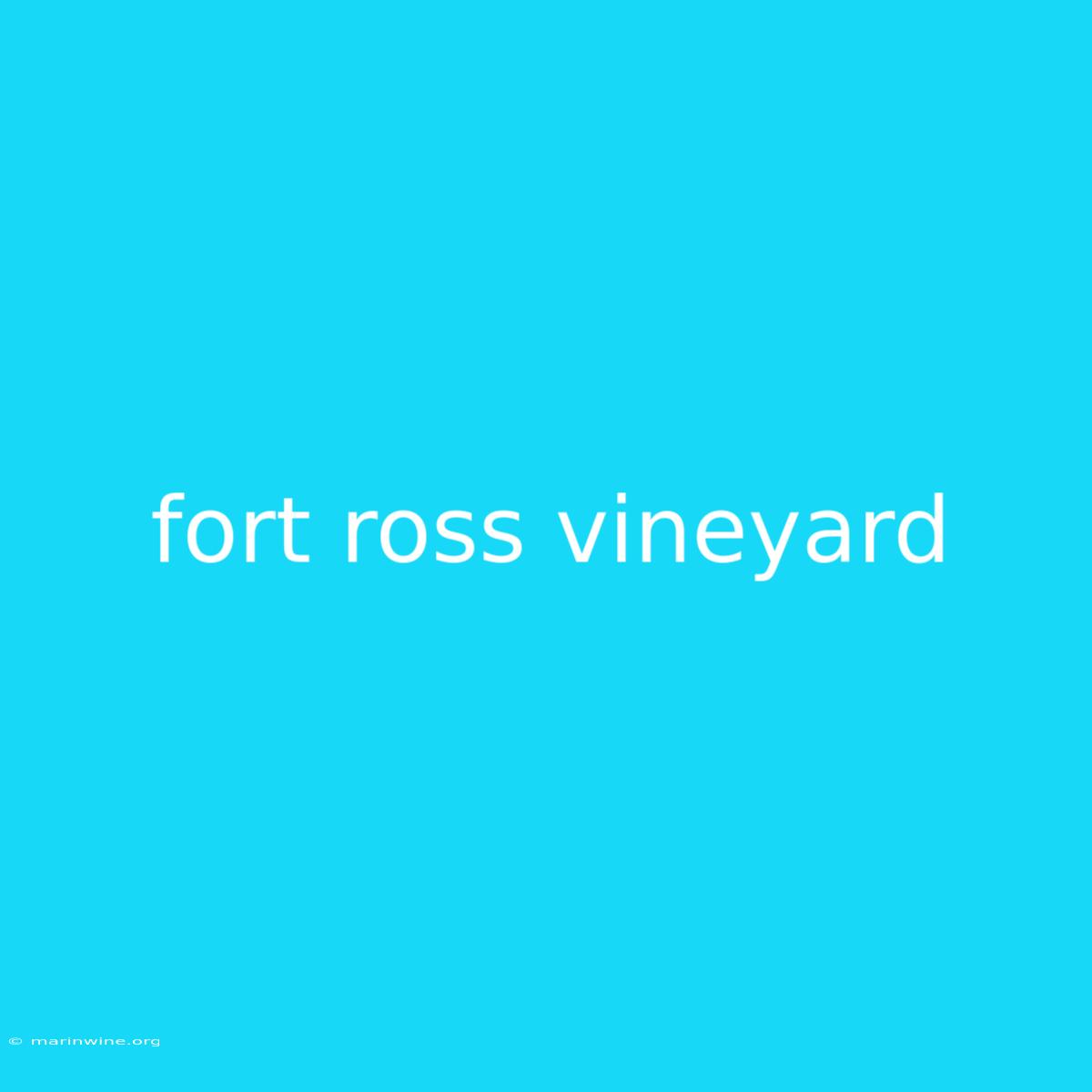 Fort Ross Vineyard