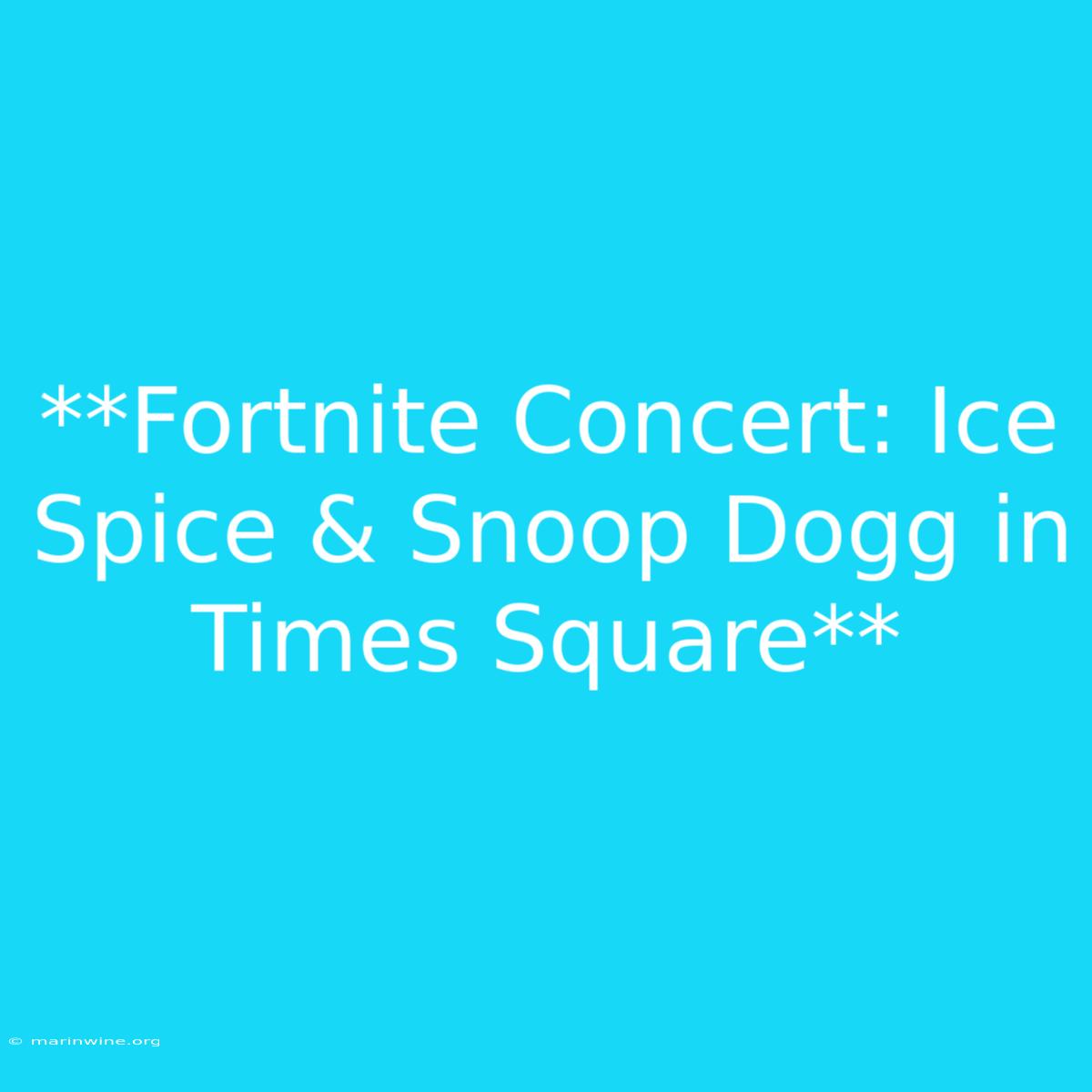 **Fortnite Concert: Ice Spice & Snoop Dogg In Times Square**