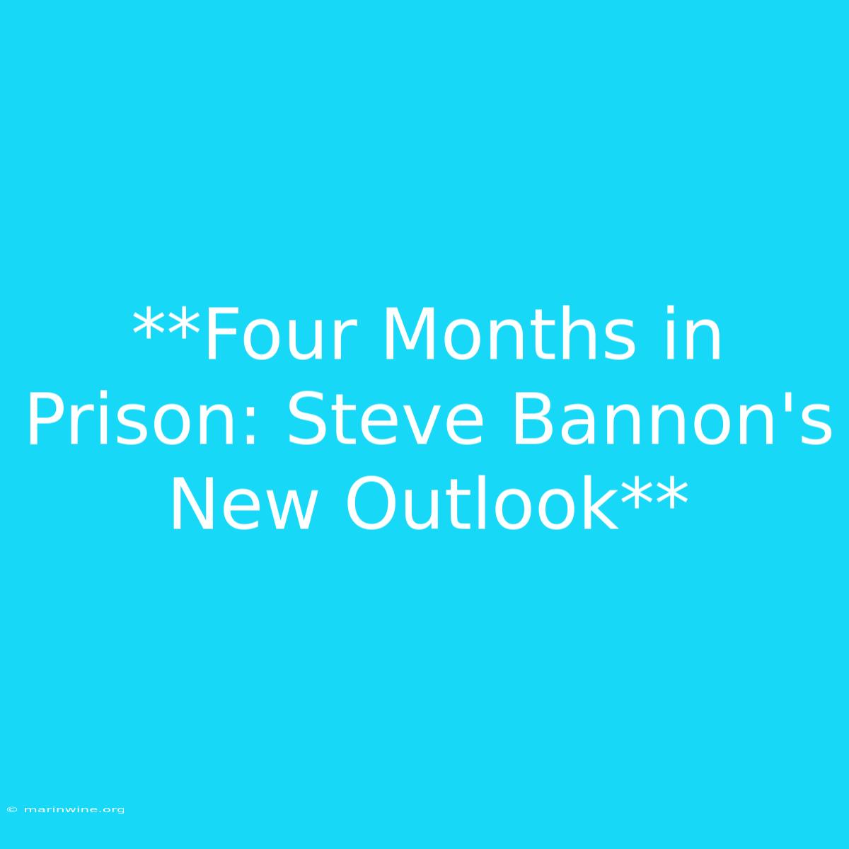 **Four Months In Prison: Steve Bannon's New Outlook** 