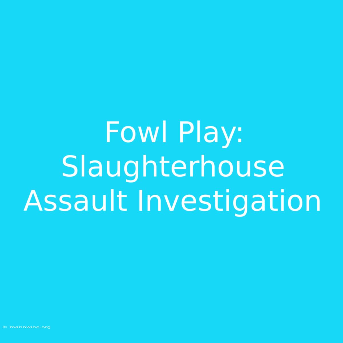 Fowl Play: Slaughterhouse Assault Investigation