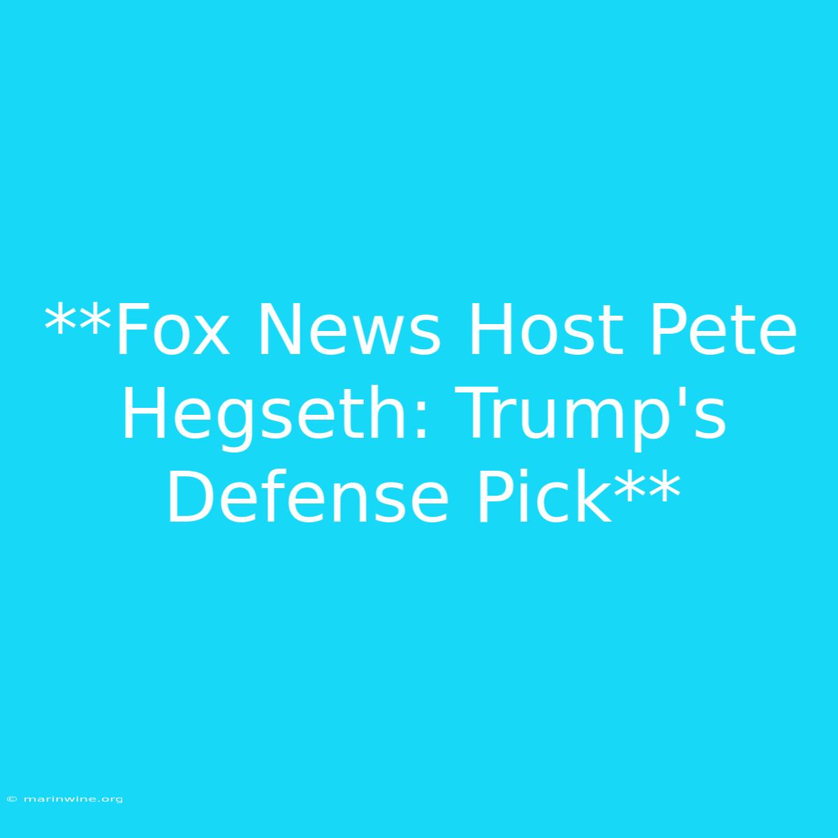 **Fox News Host Pete Hegseth: Trump's Defense Pick** 