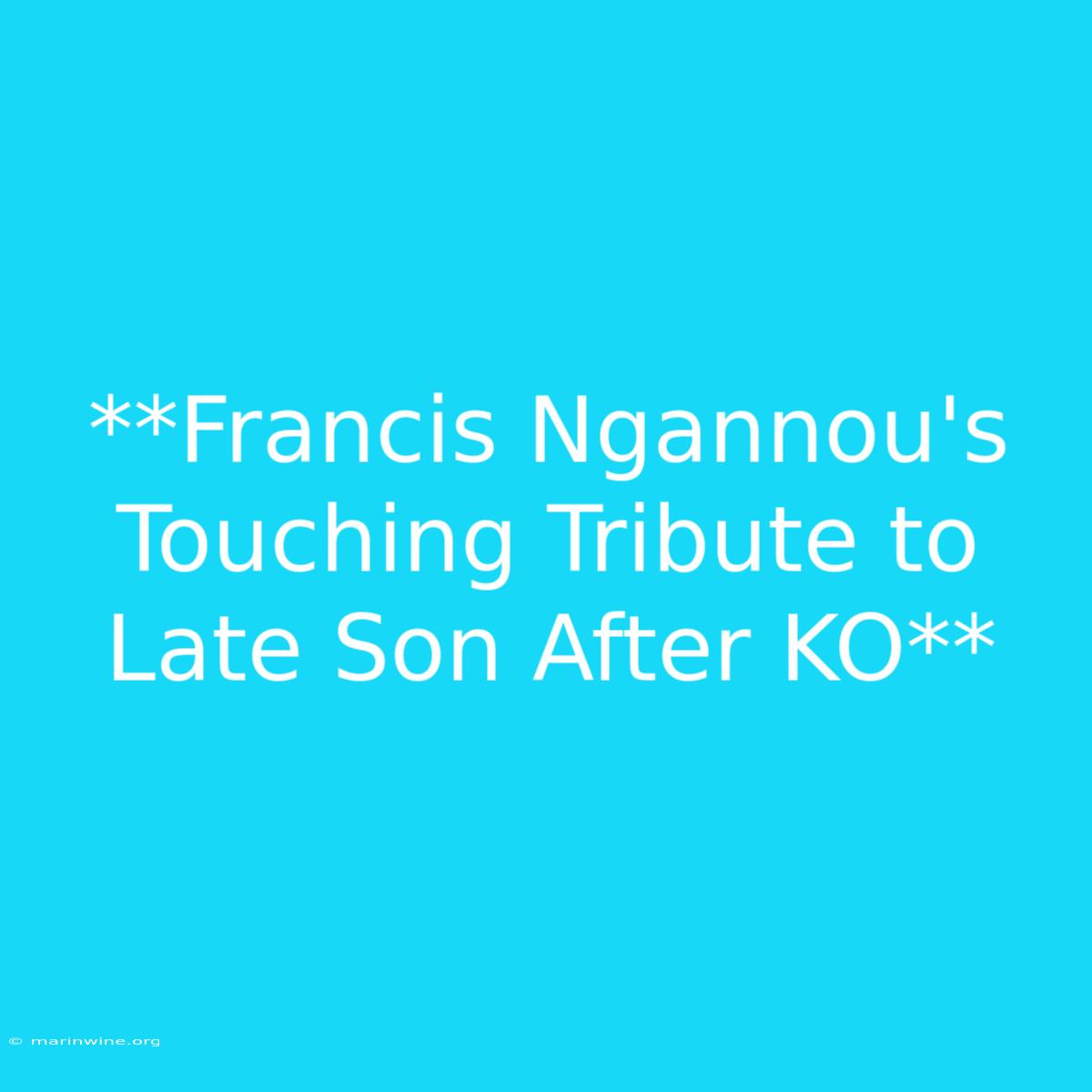 **Francis Ngannou's Touching Tribute To Late Son After KO** 