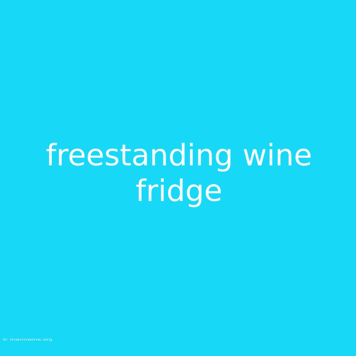 Freestanding Wine Fridge