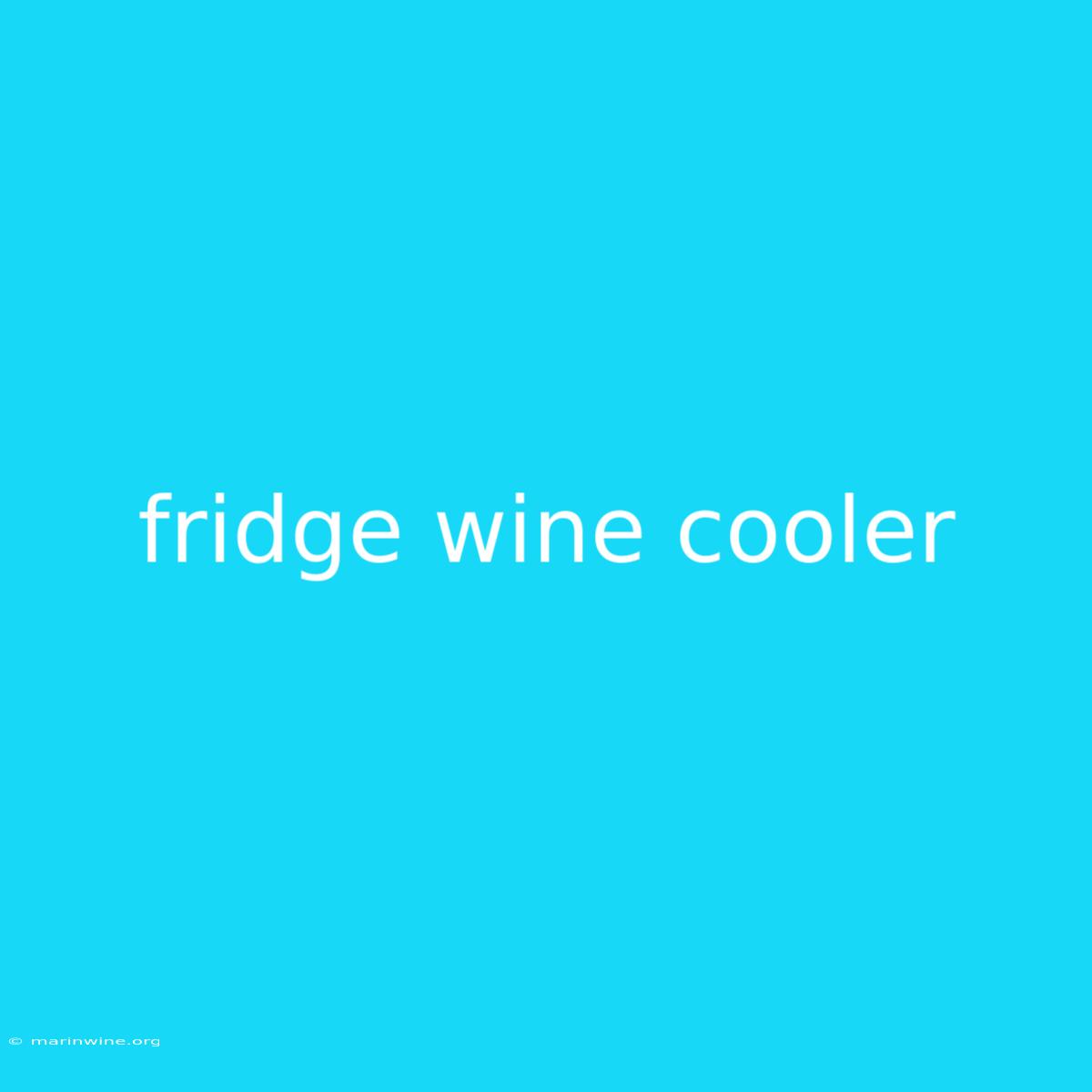 Fridge Wine Cooler