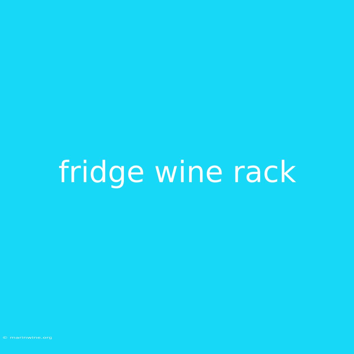 Fridge Wine Rack