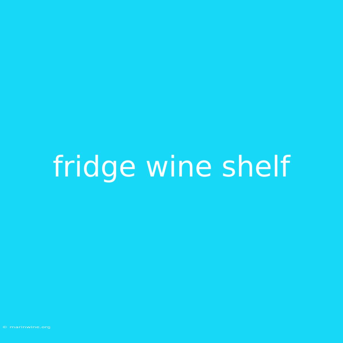 Fridge Wine Shelf