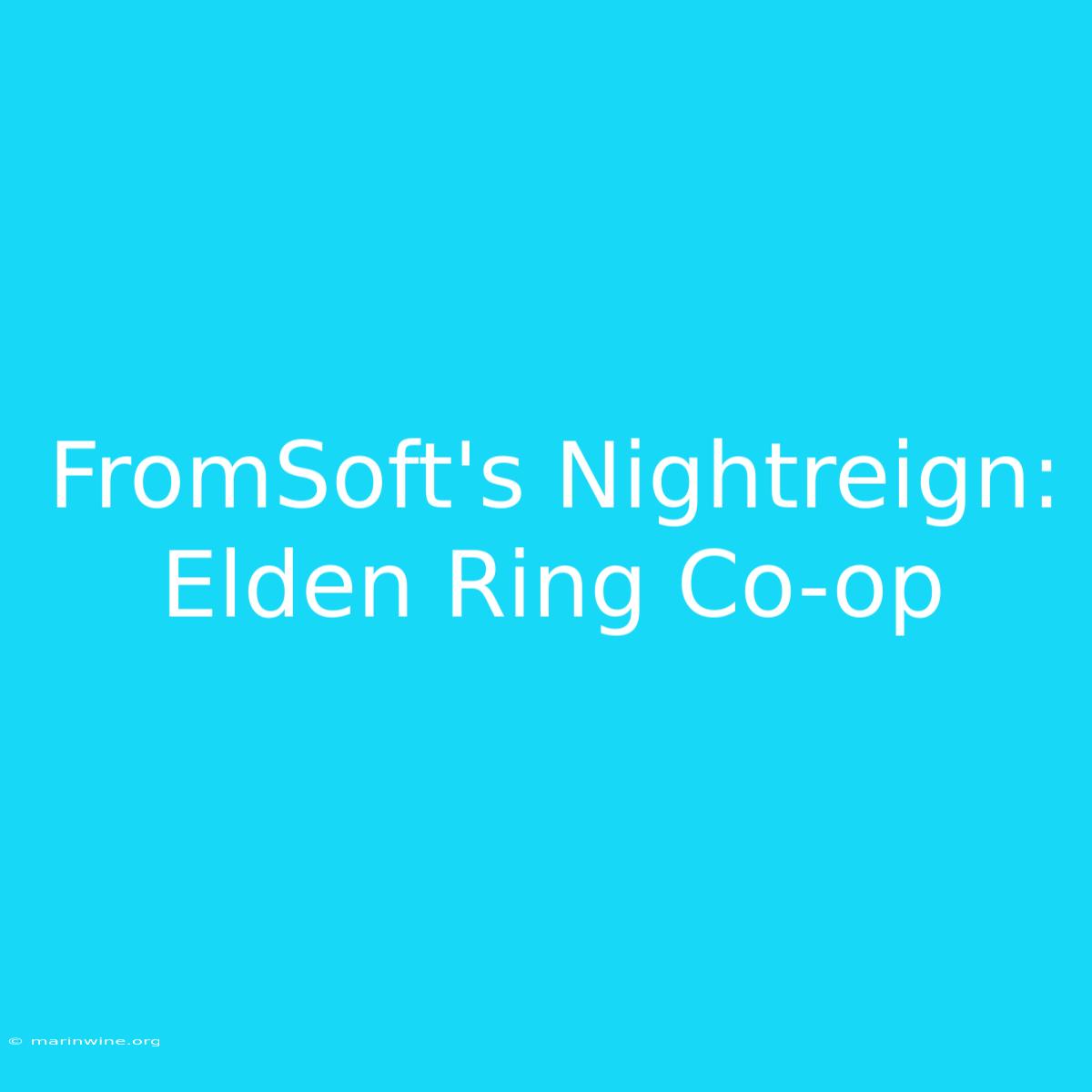 FromSoft's Nightreign: Elden Ring Co-op