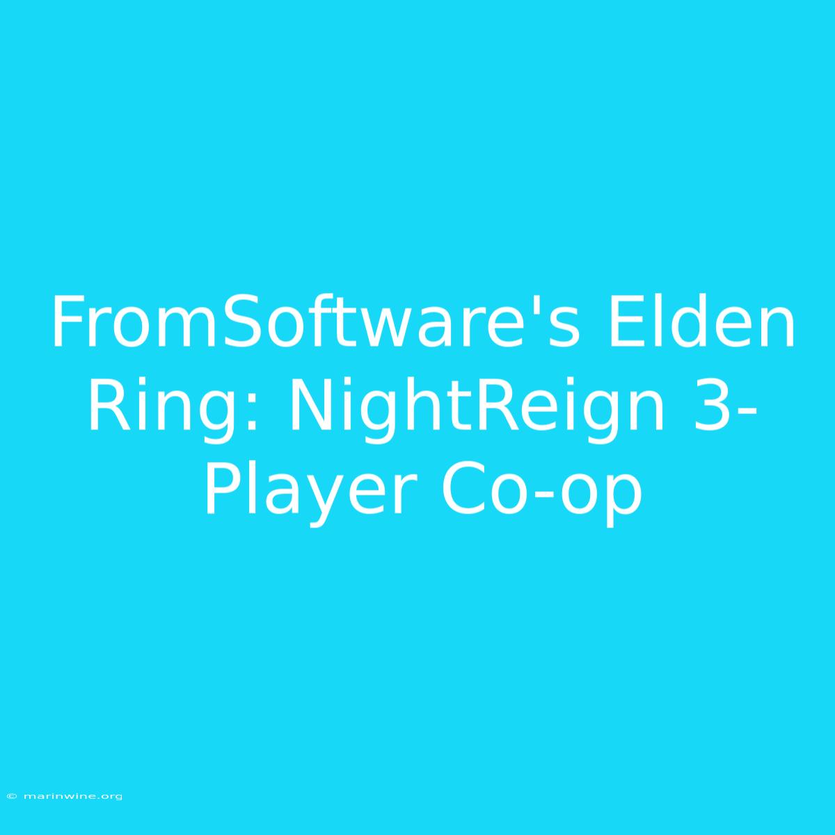 FromSoftware's Elden Ring: NightReign 3-Player Co-op