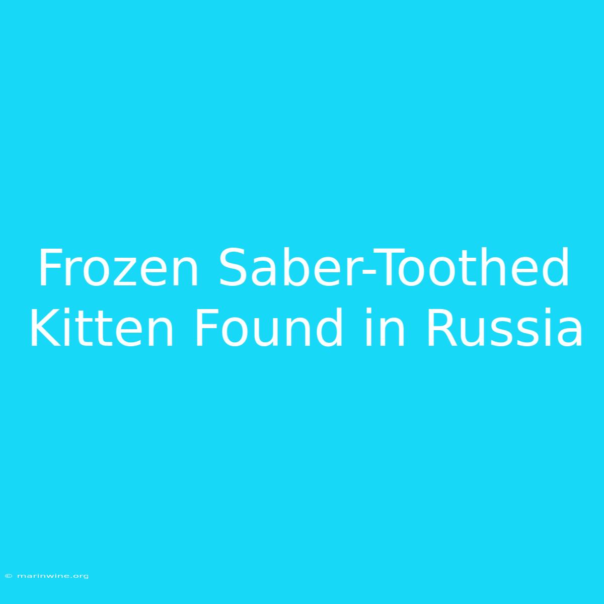 Frozen Saber-Toothed Kitten Found In Russia