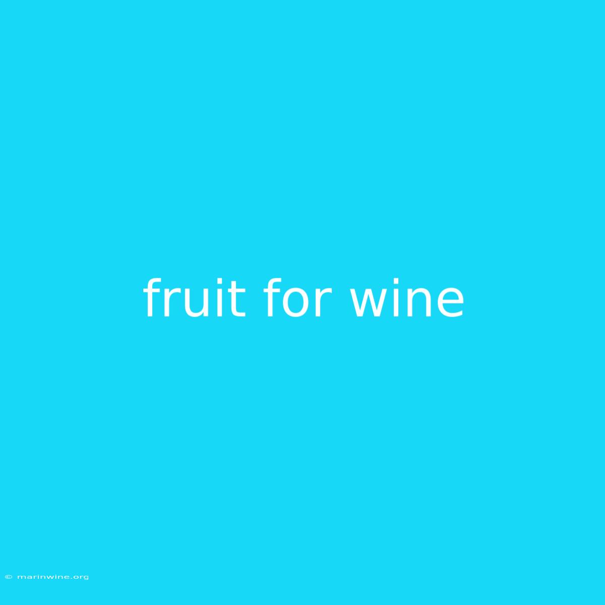 Fruit For Wine