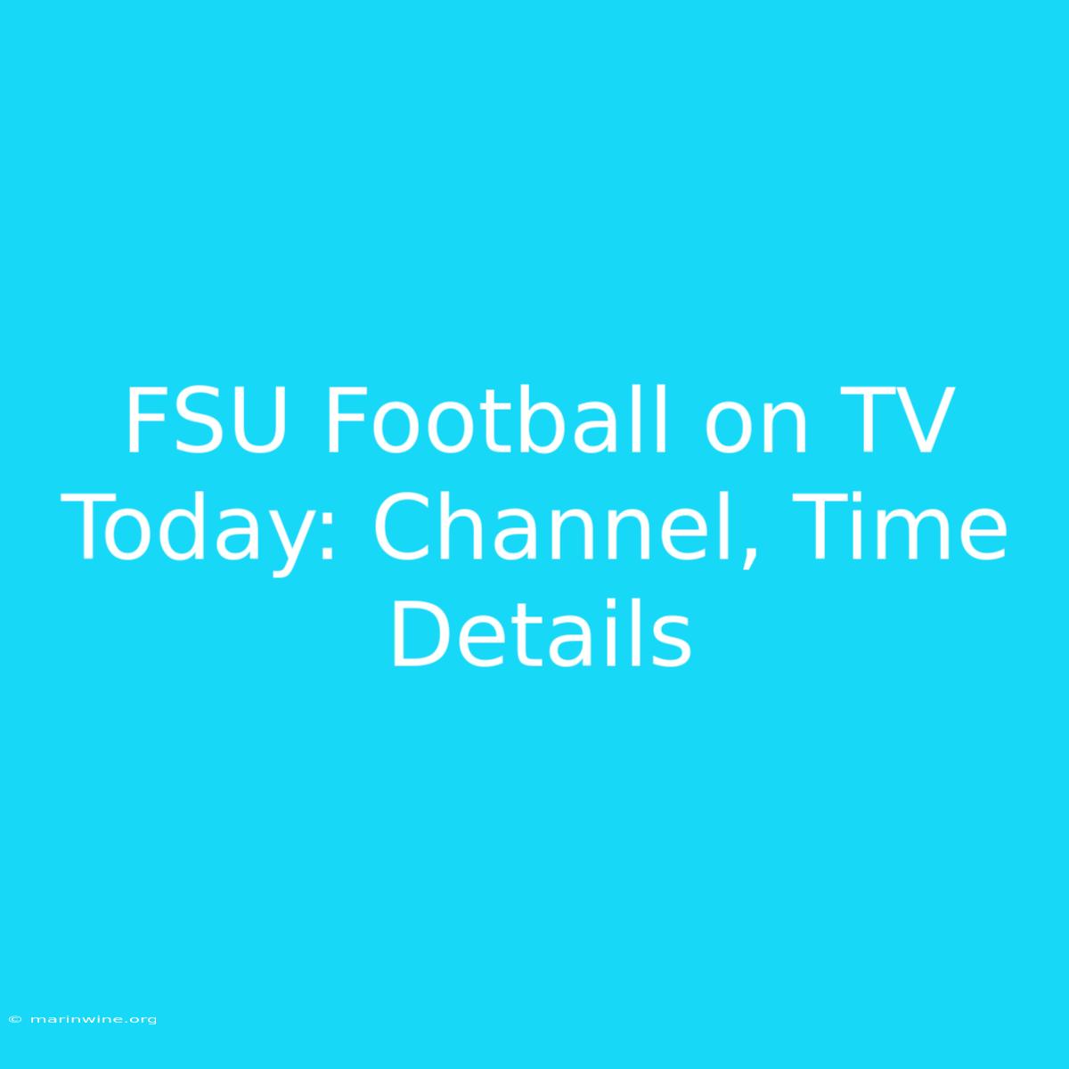 FSU Football On TV Today: Channel, Time Details