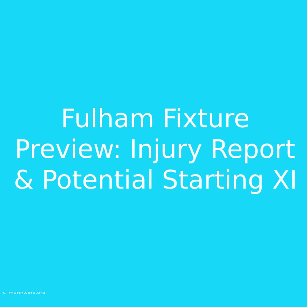 Fulham Fixture Preview: Injury Report & Potential Starting XI 