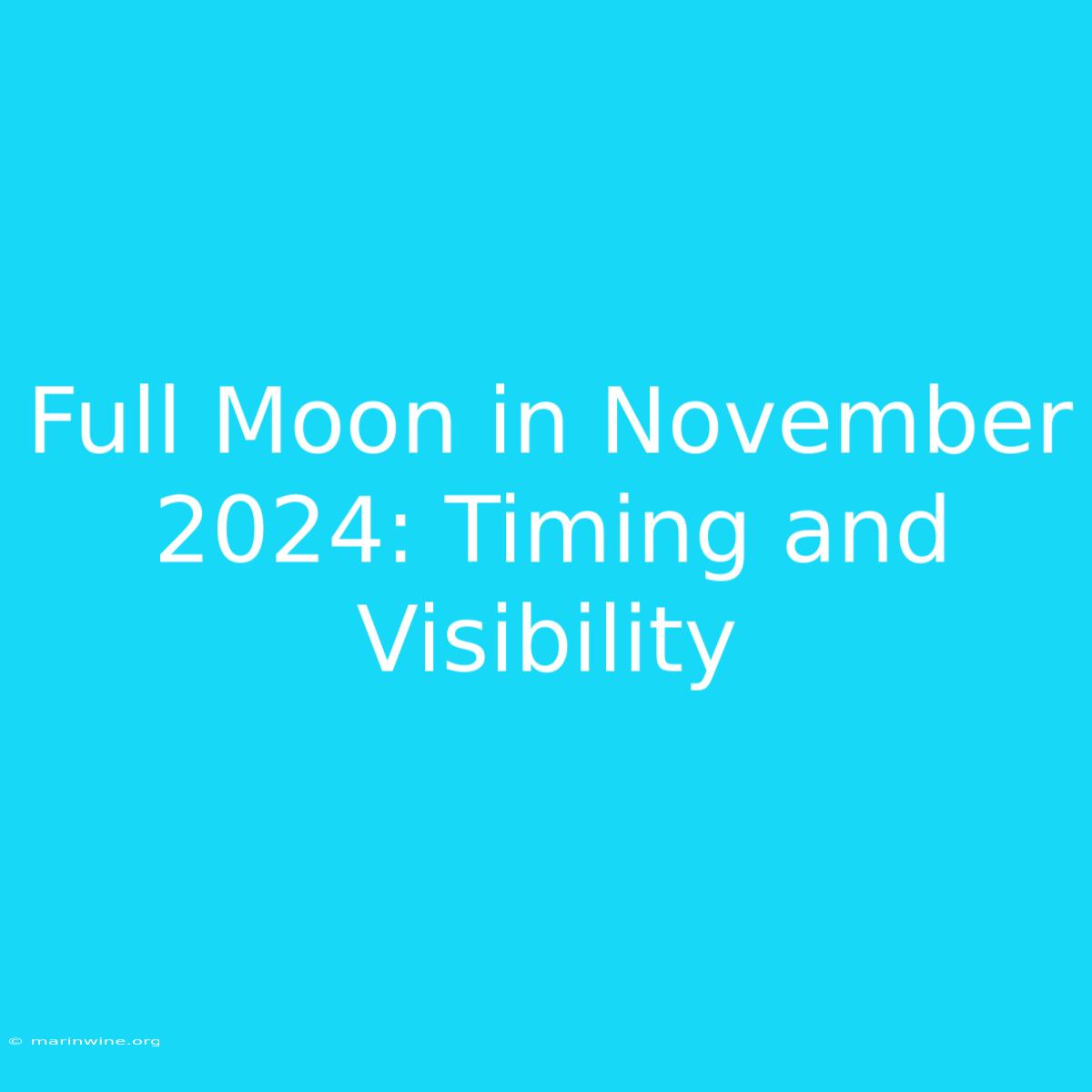 Full Moon In November 2024: Timing And Visibility