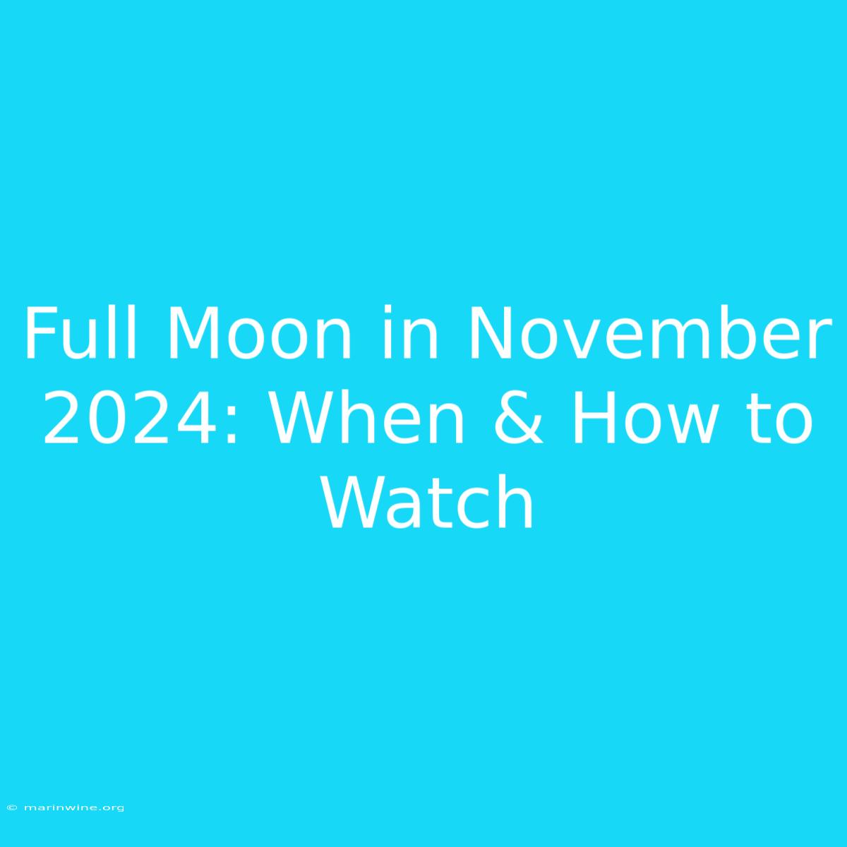 Full Moon In November 2024: When & How To Watch