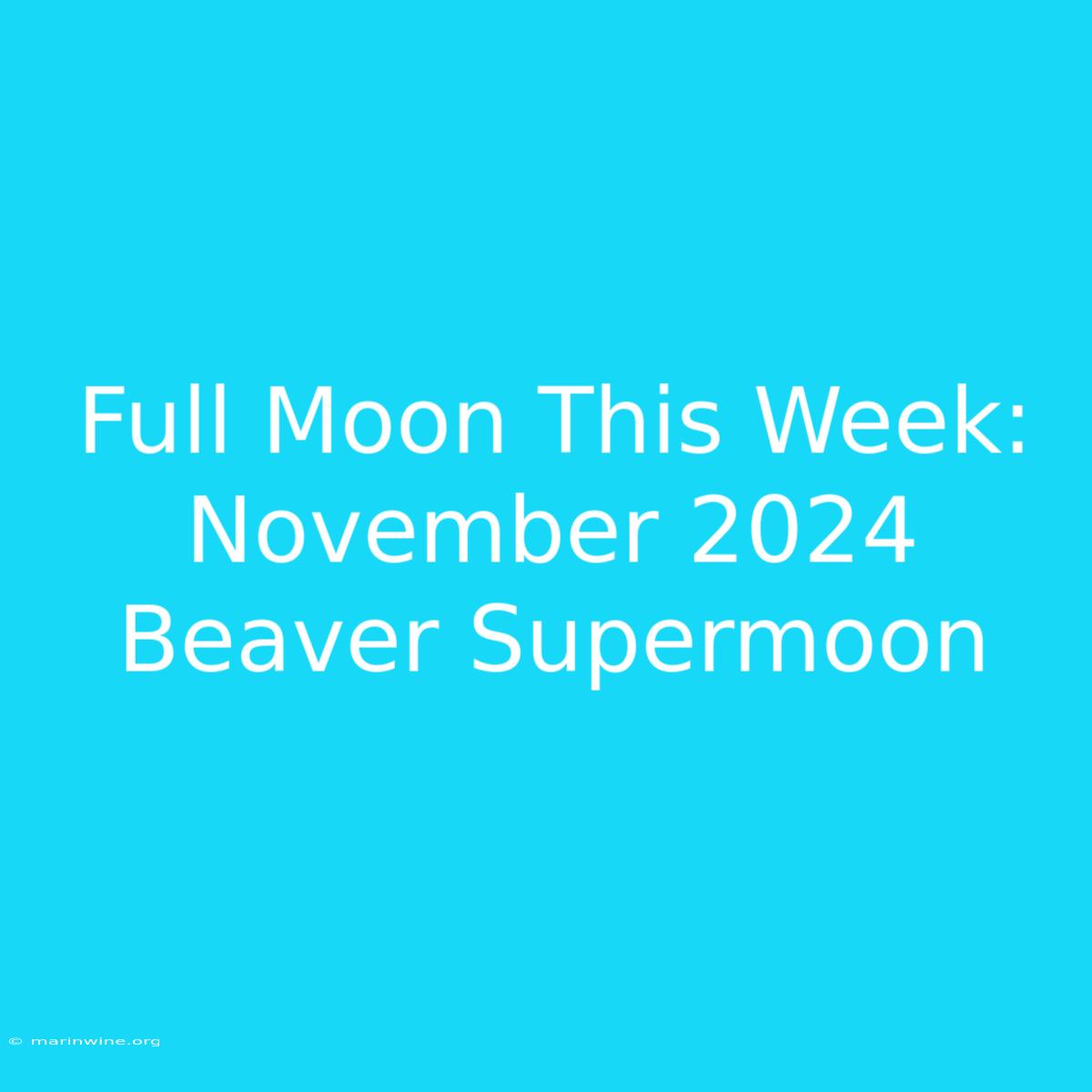 Full Moon This Week: November 2024 Beaver Supermoon