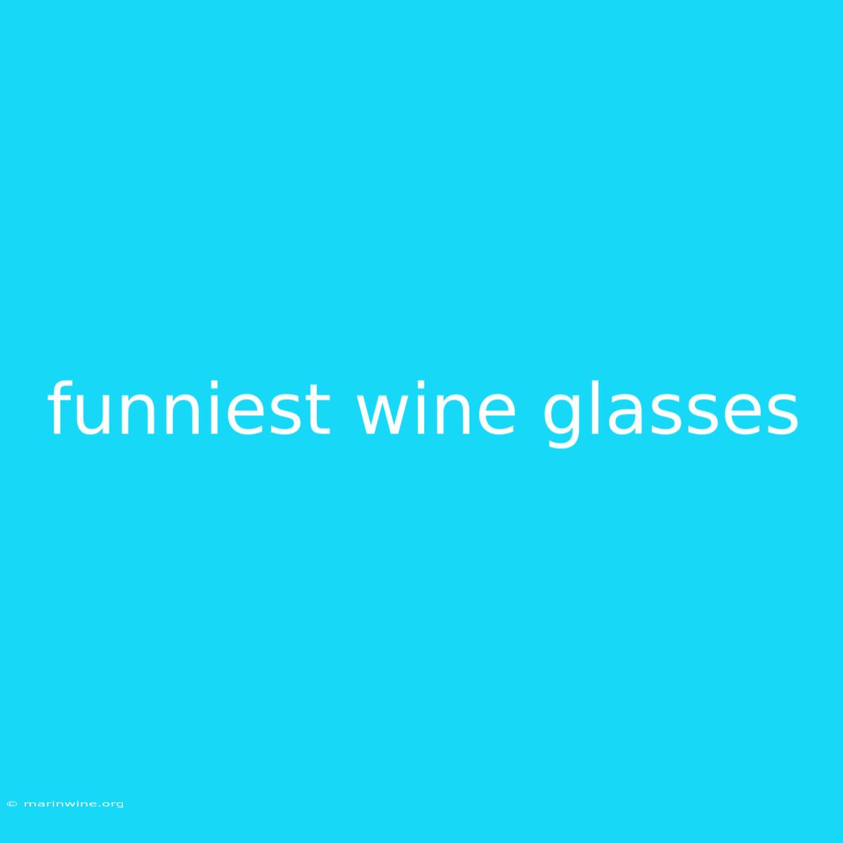 Funniest Wine Glasses