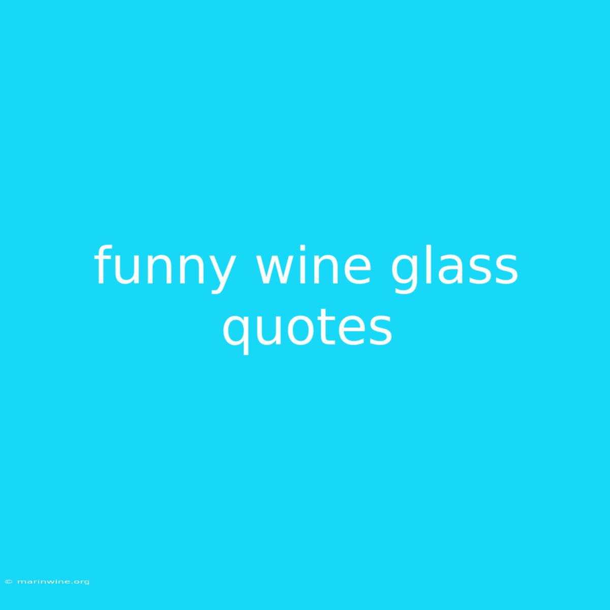 Funny Wine Glass Quotes