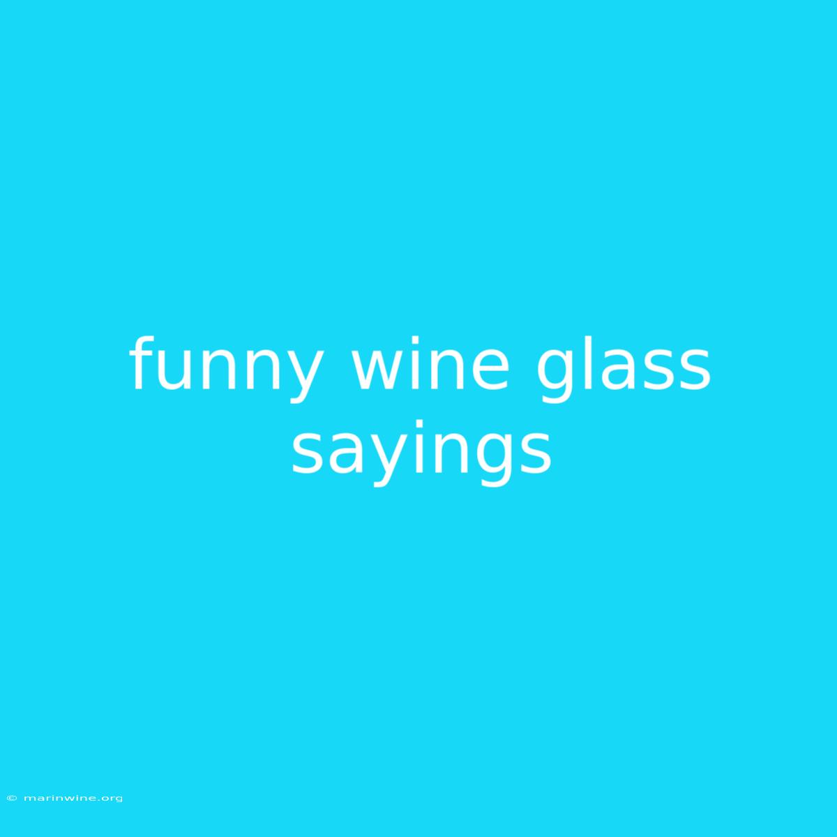 Funny Wine Glass Sayings