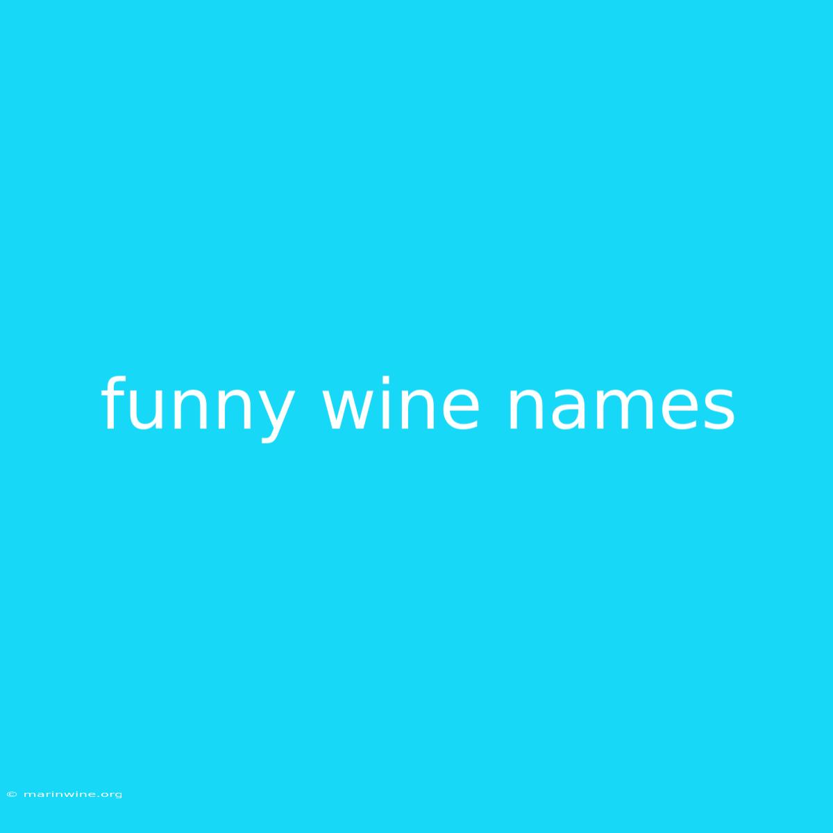 Funny Wine Names