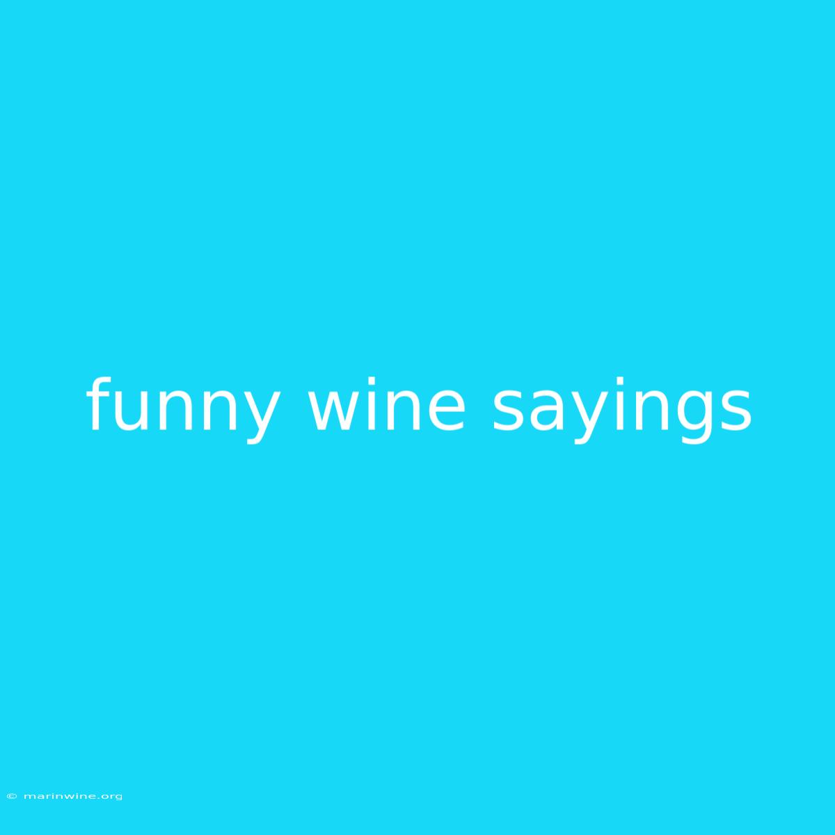 Funny Wine Sayings