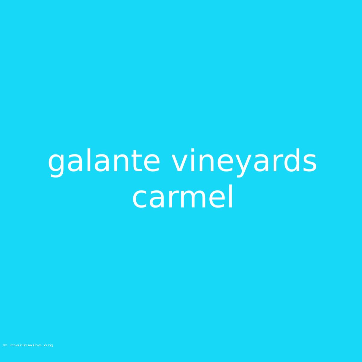 Galante Vineyards Carmel