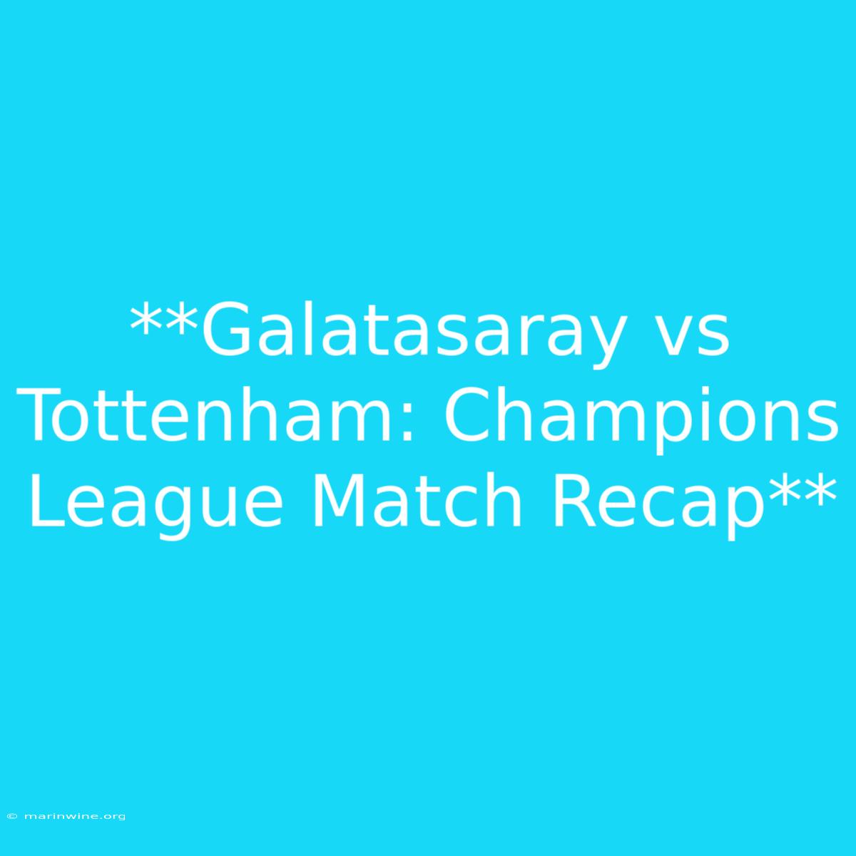 **Galatasaray Vs Tottenham: Champions League Match Recap**