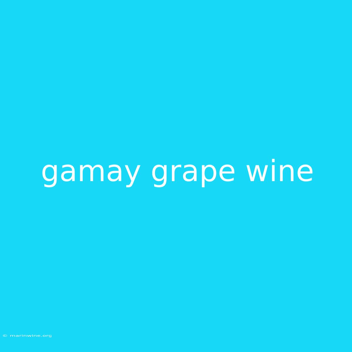 Gamay Grape Wine