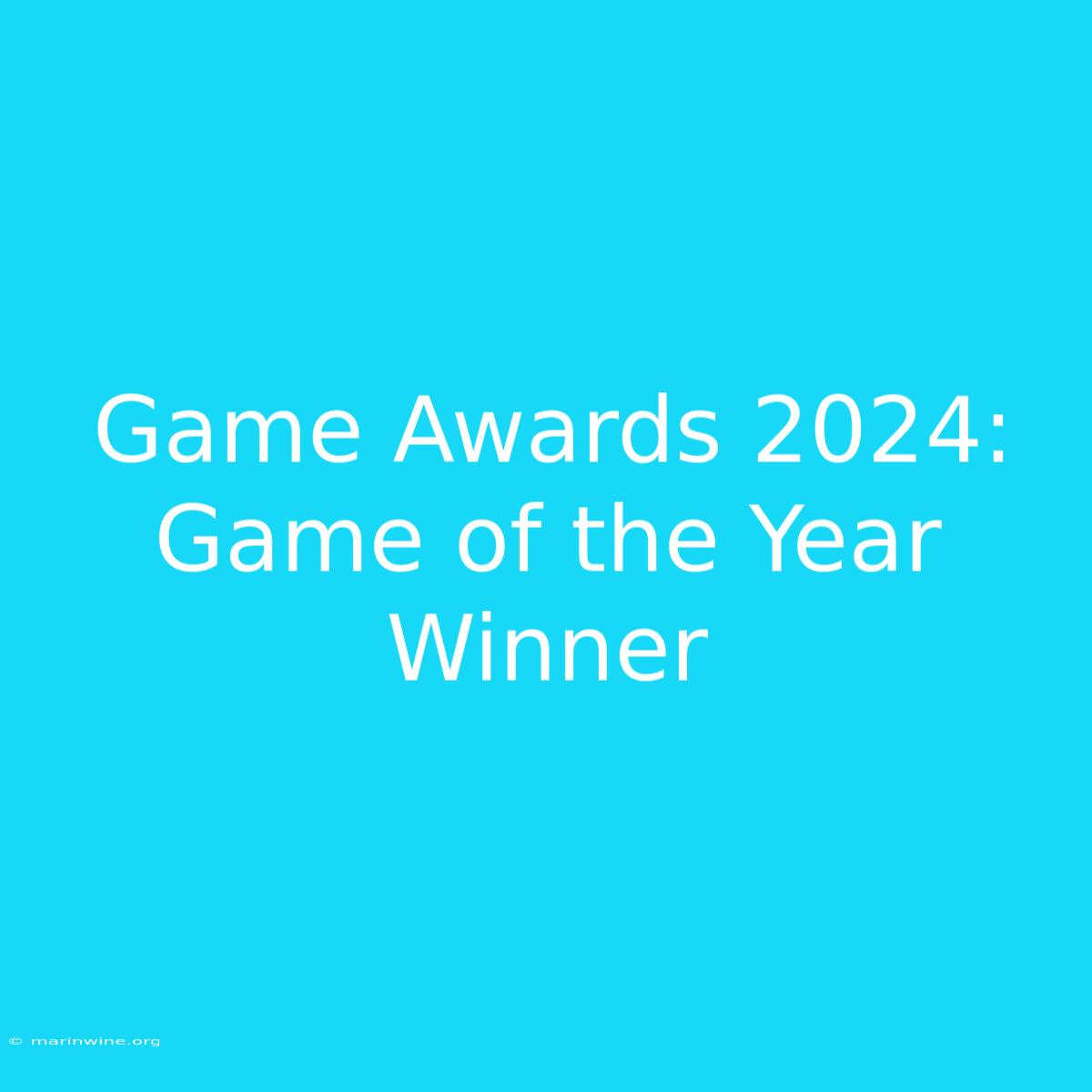 Game Awards 2024: Game Of The Year Winner