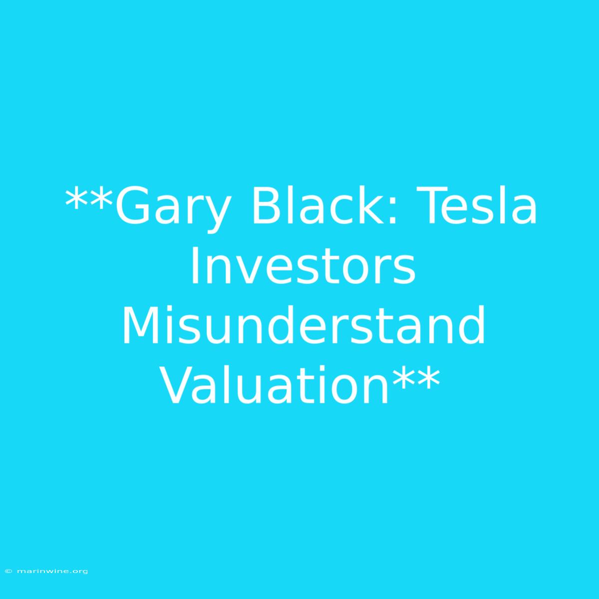 **Gary Black: Tesla Investors Misunderstand Valuation** 