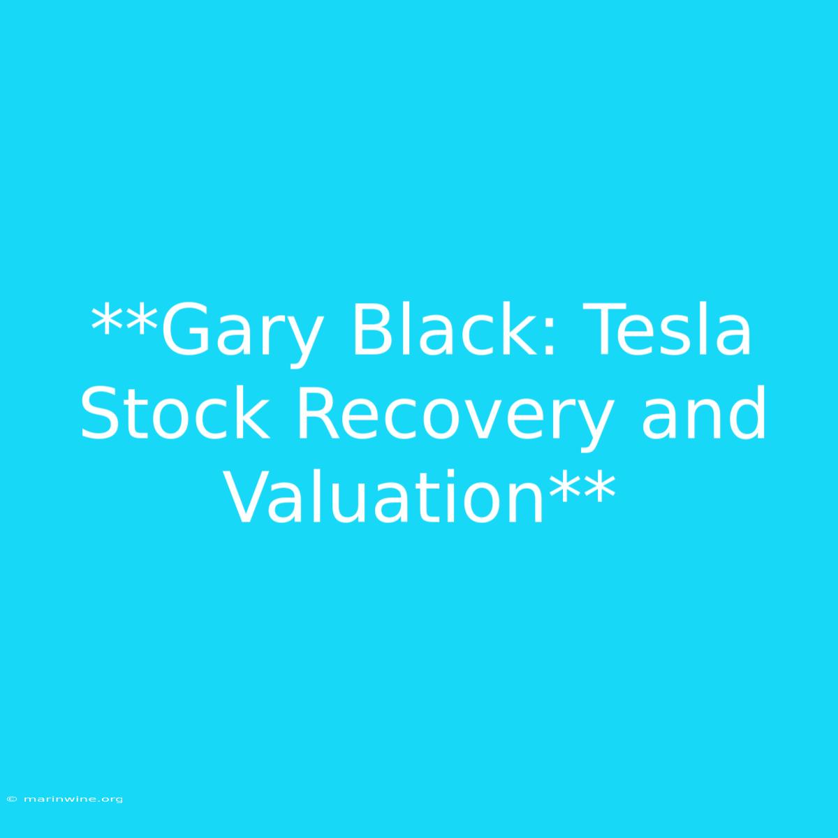 **Gary Black: Tesla Stock Recovery And Valuation** 