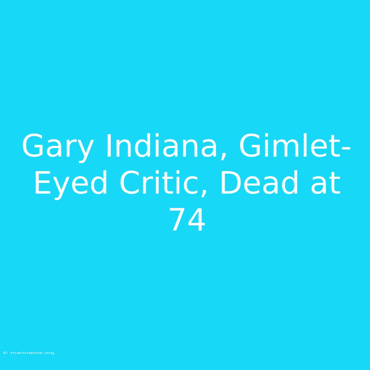 Gary Indiana, Gimlet-Eyed Critic, Dead At 74 