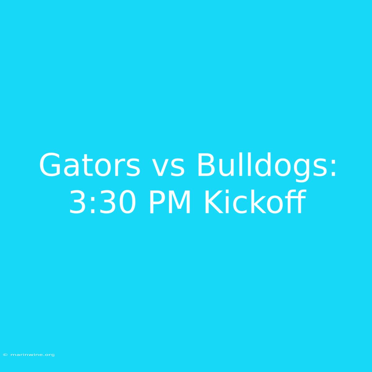 Gators Vs Bulldogs: 3:30 PM Kickoff